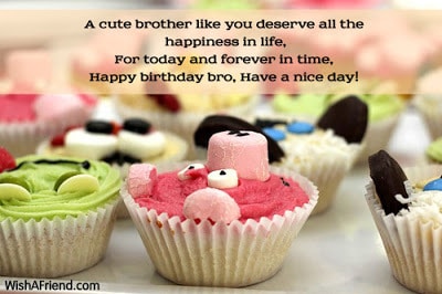 happy birthday wishes quotes for brother