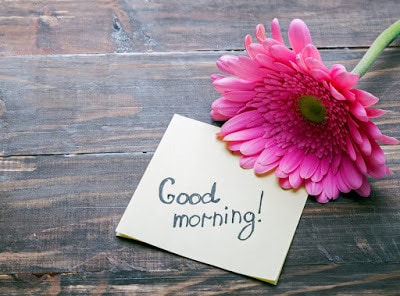 Gerbera flower and piece of paper with text