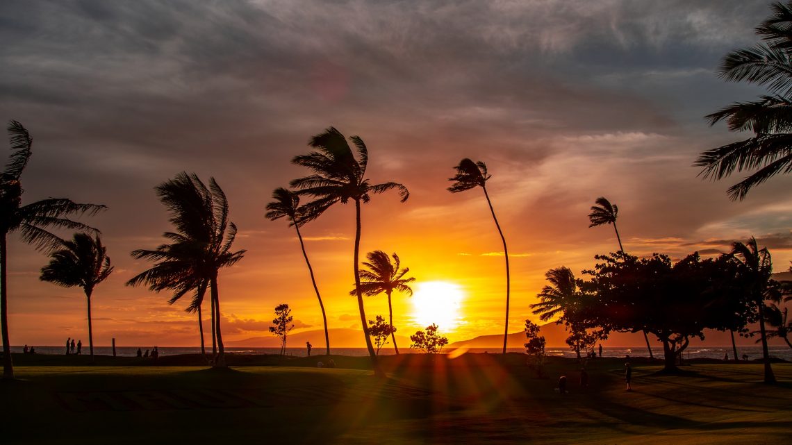 Which Hawaiian island to visit?