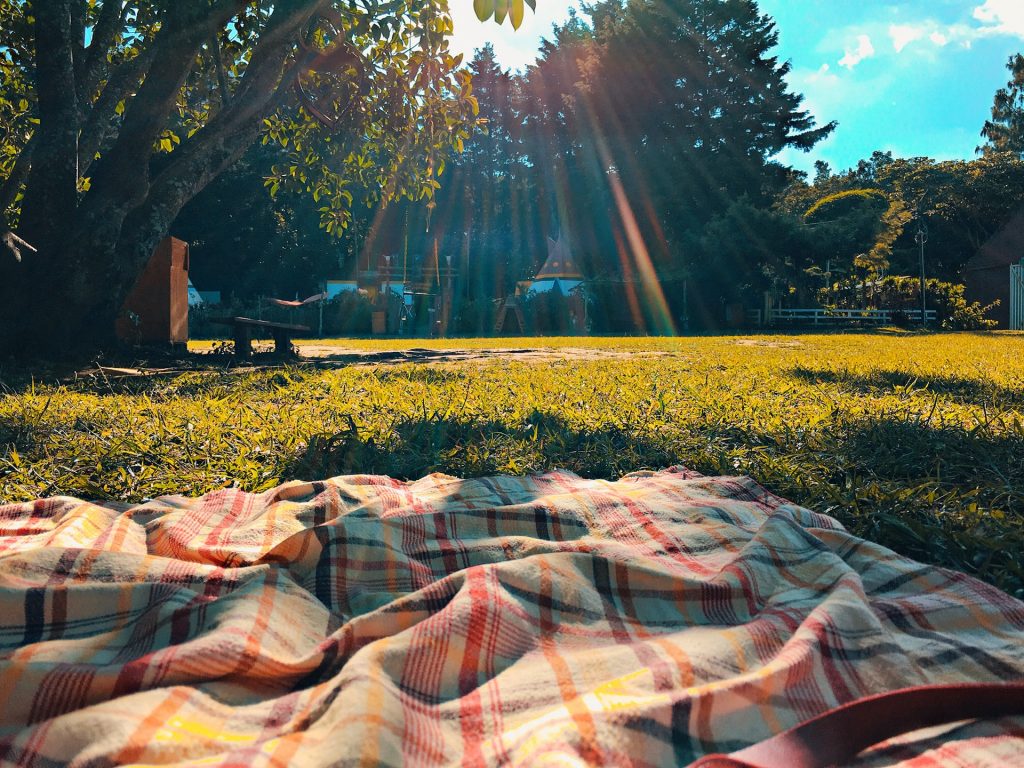 Picnic date