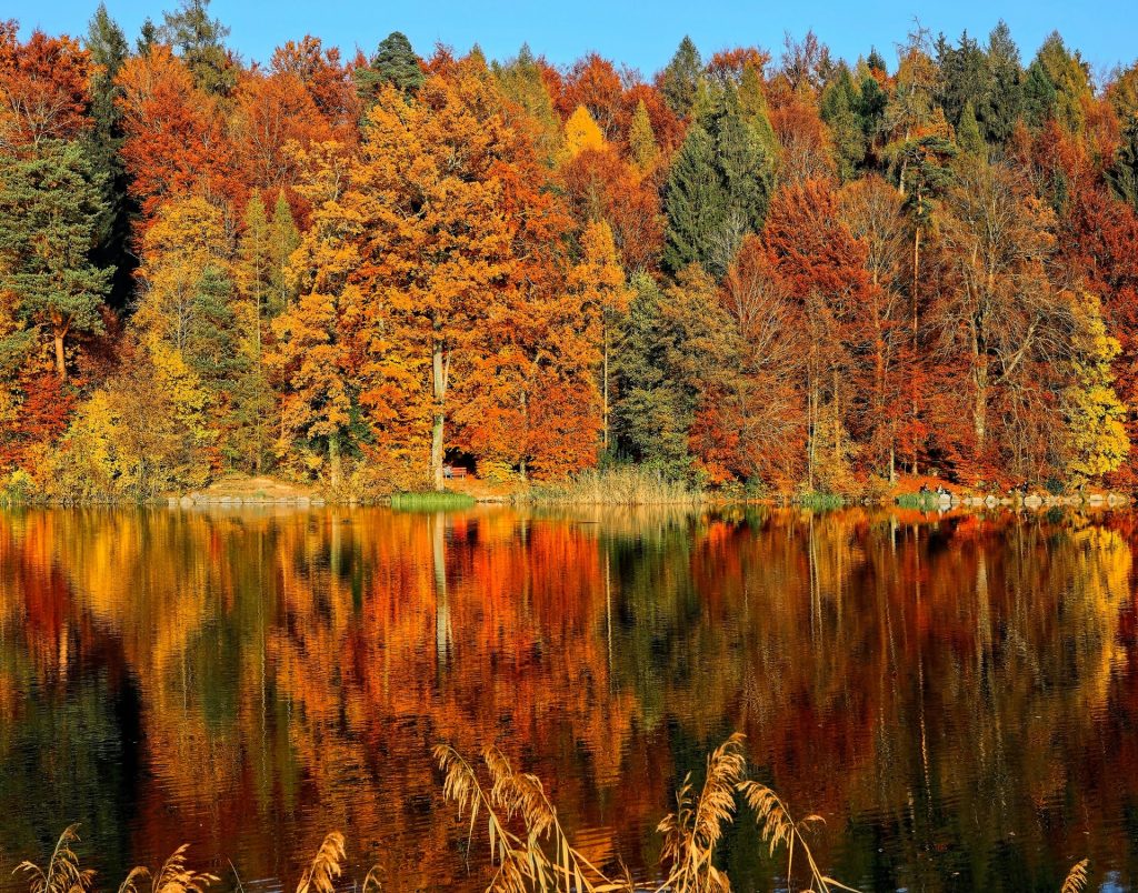 Enjoy fall colors in nature