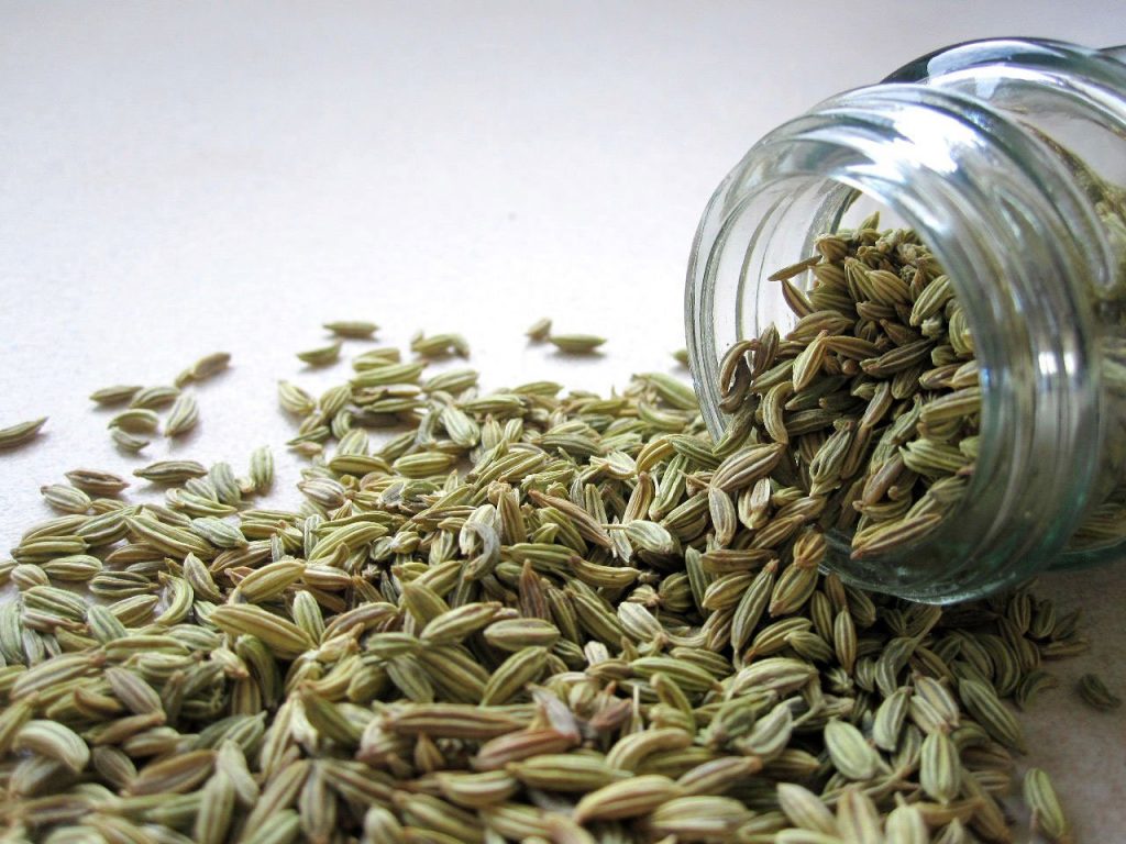 Fennel seed herb