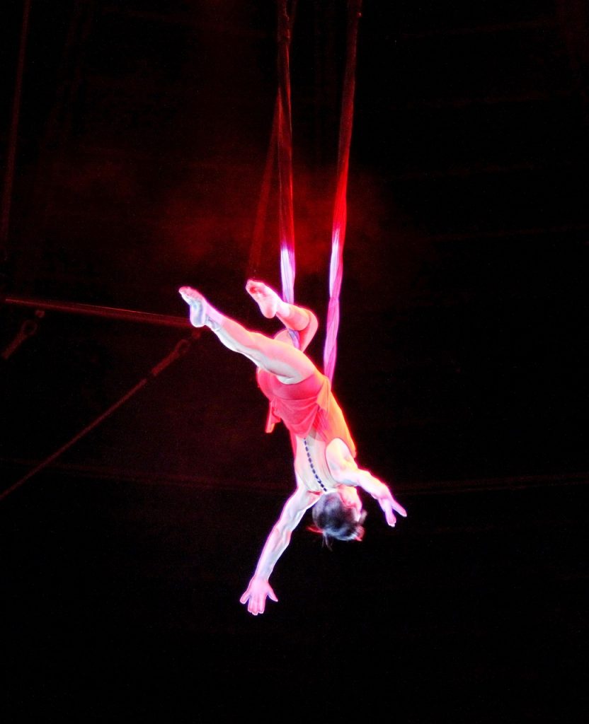 trapeze artist