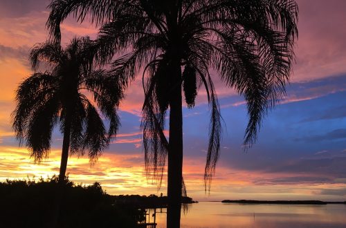 Tampa sunset